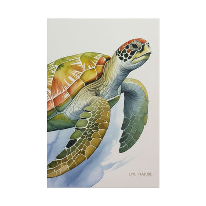 Sea Turtle Watercolor Art Print 'Live Nature' Design