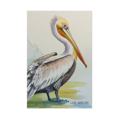 Pelican Watercolor Art Print 'Live Nature' Design