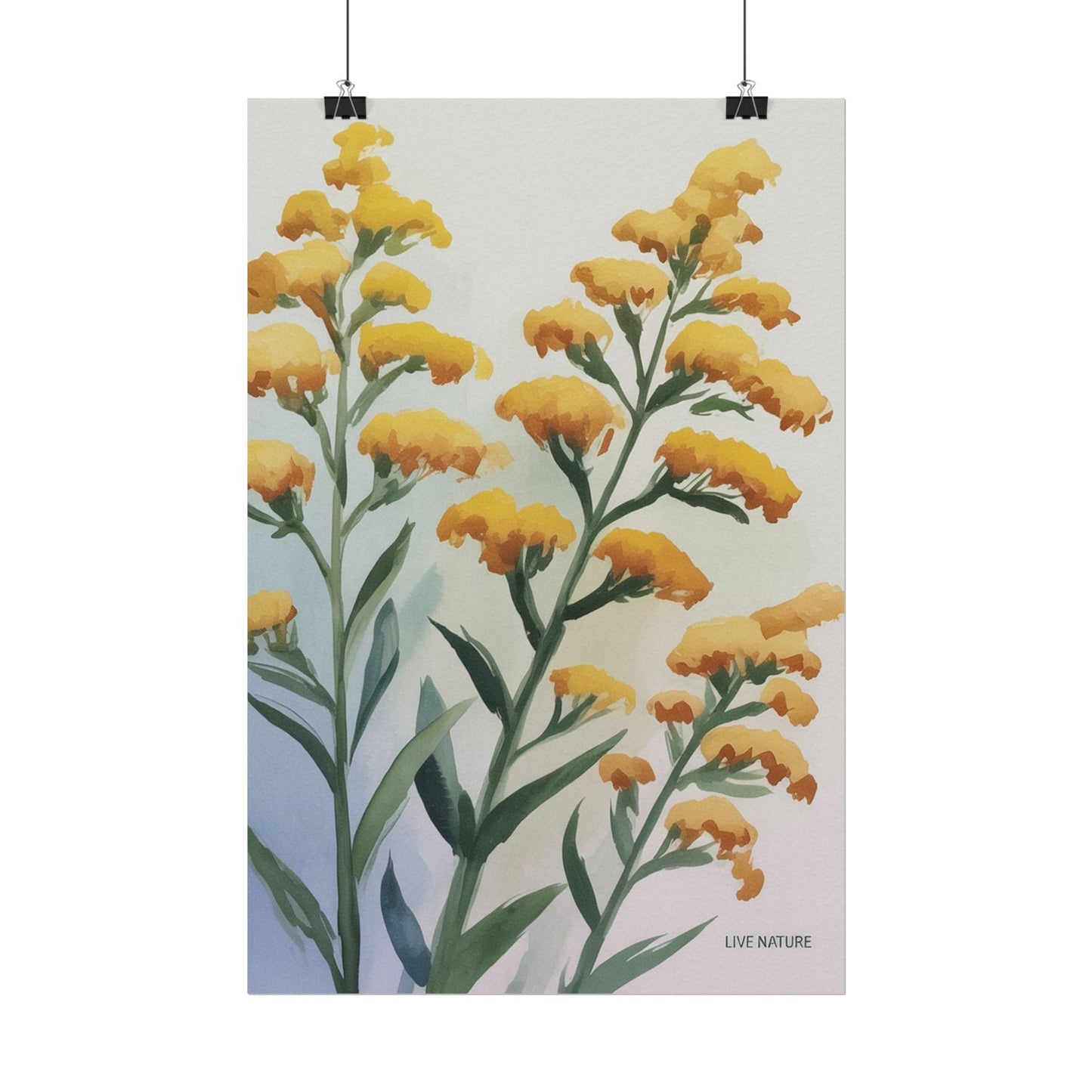 Goldenrod Watercolor Botanical Art Print 'Live Nature
