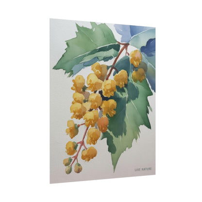 Oregon Grape State Flower Watercolor Art Print