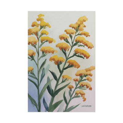 Goldenrod Watercolor Botanical Art Print 'Live Nature