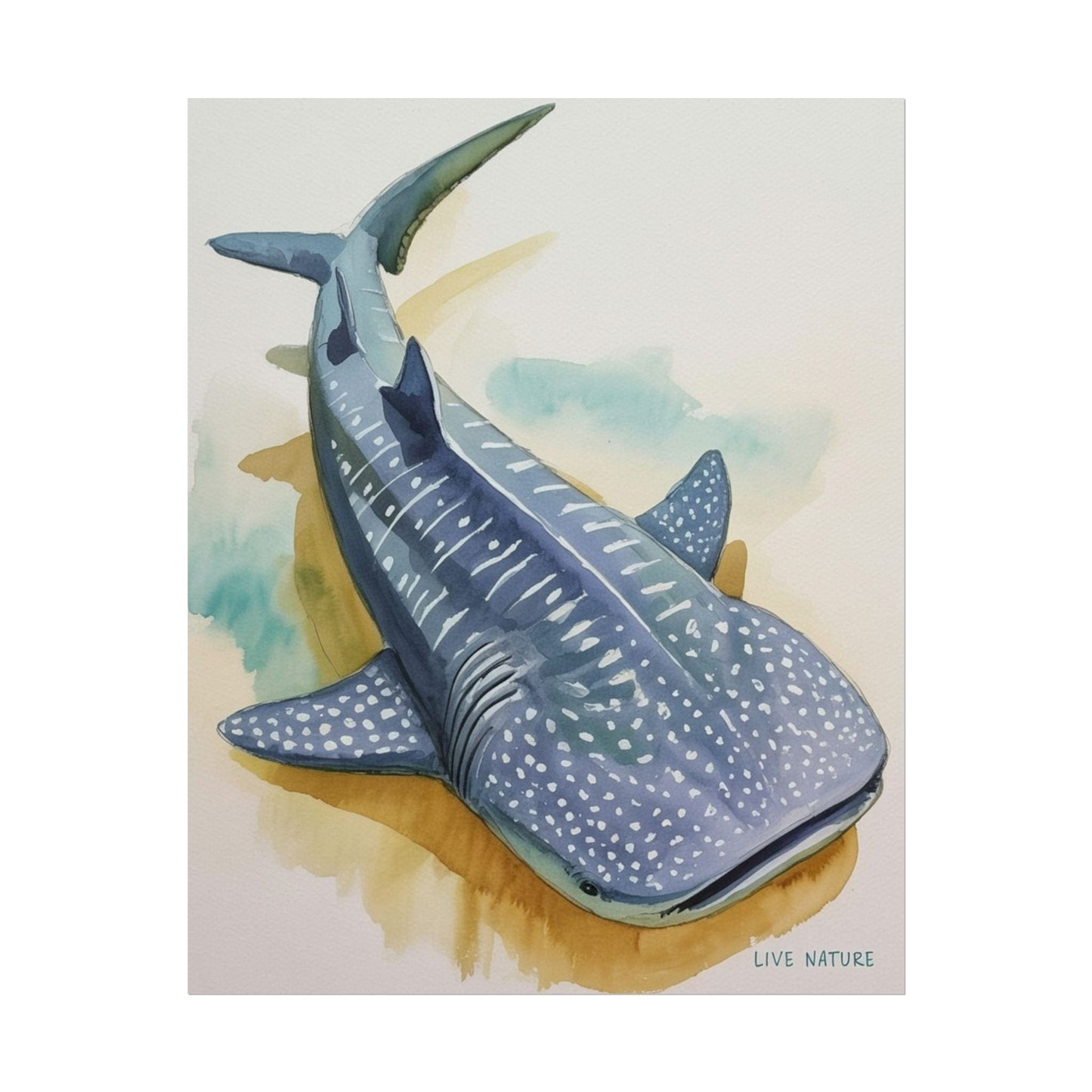 Whale Shark Watercolor Print Live Nature Design