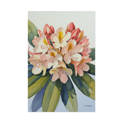Coast Rhododendron Watercolor Print Washington Art