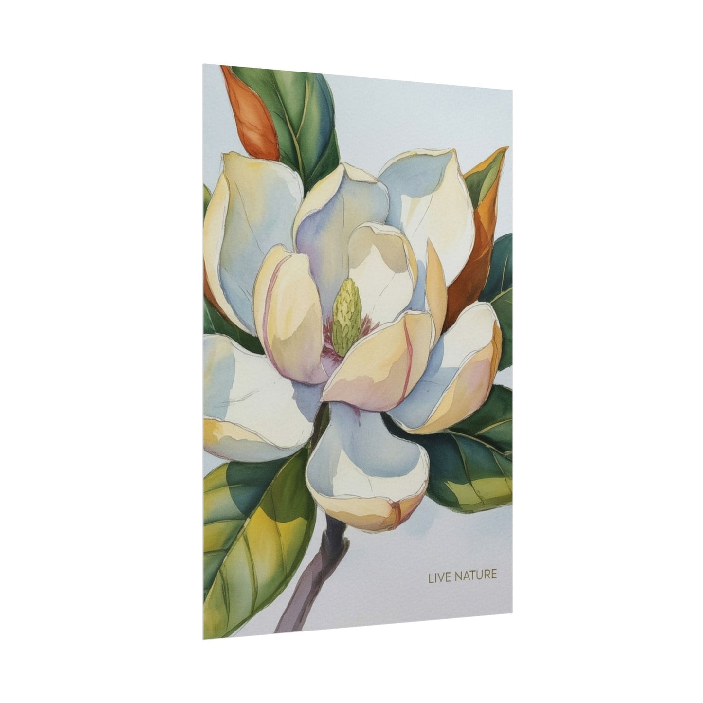 Magnolia Blossom Art Print on Fine Art Paper