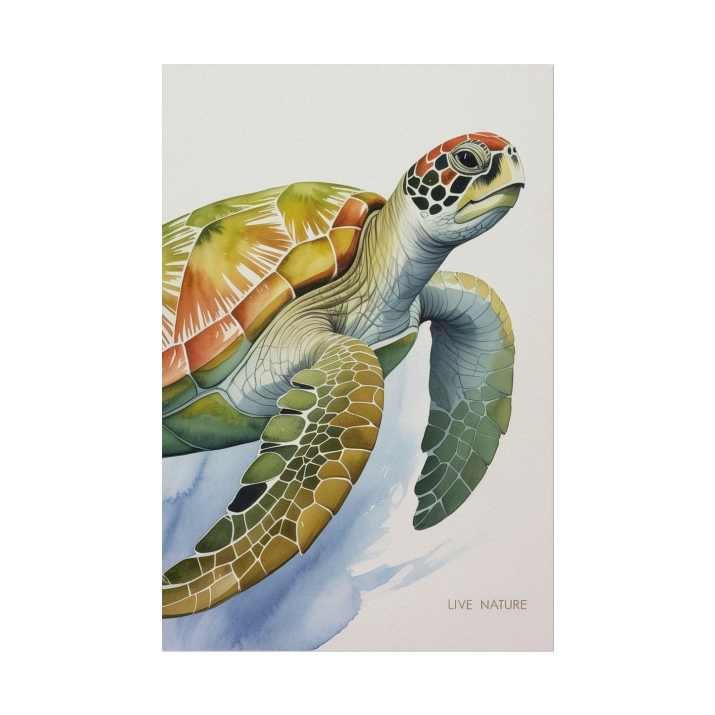 Sea Turtle Watercolor Art Print 'Live Nature' Design
