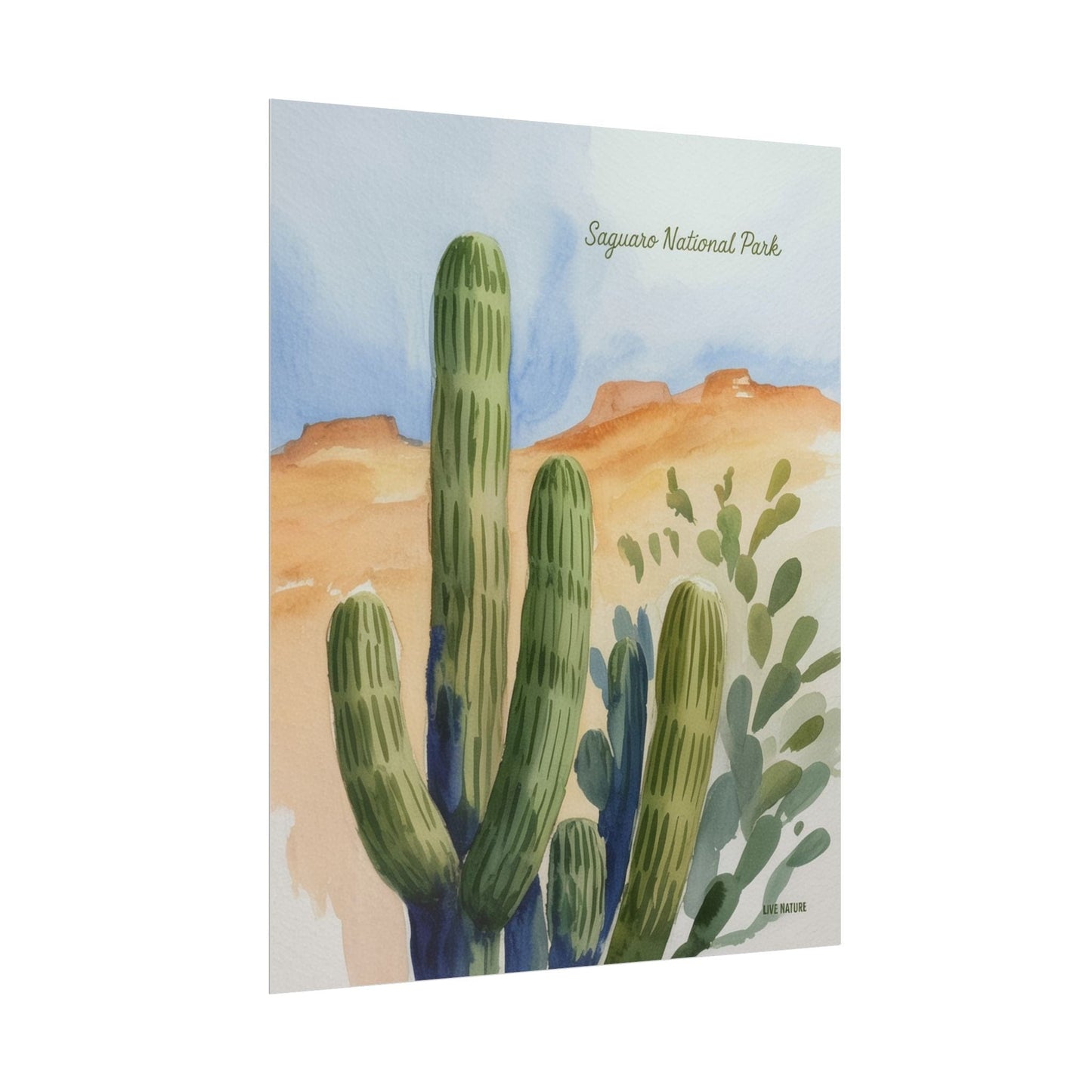 Saguaro National Park Watercolor Cactus Art Print