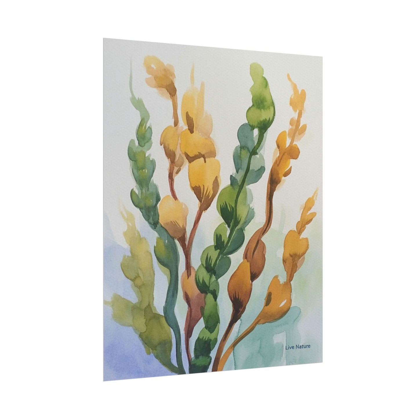 Seaweed Watercolor Art Print Coastal Nature Design