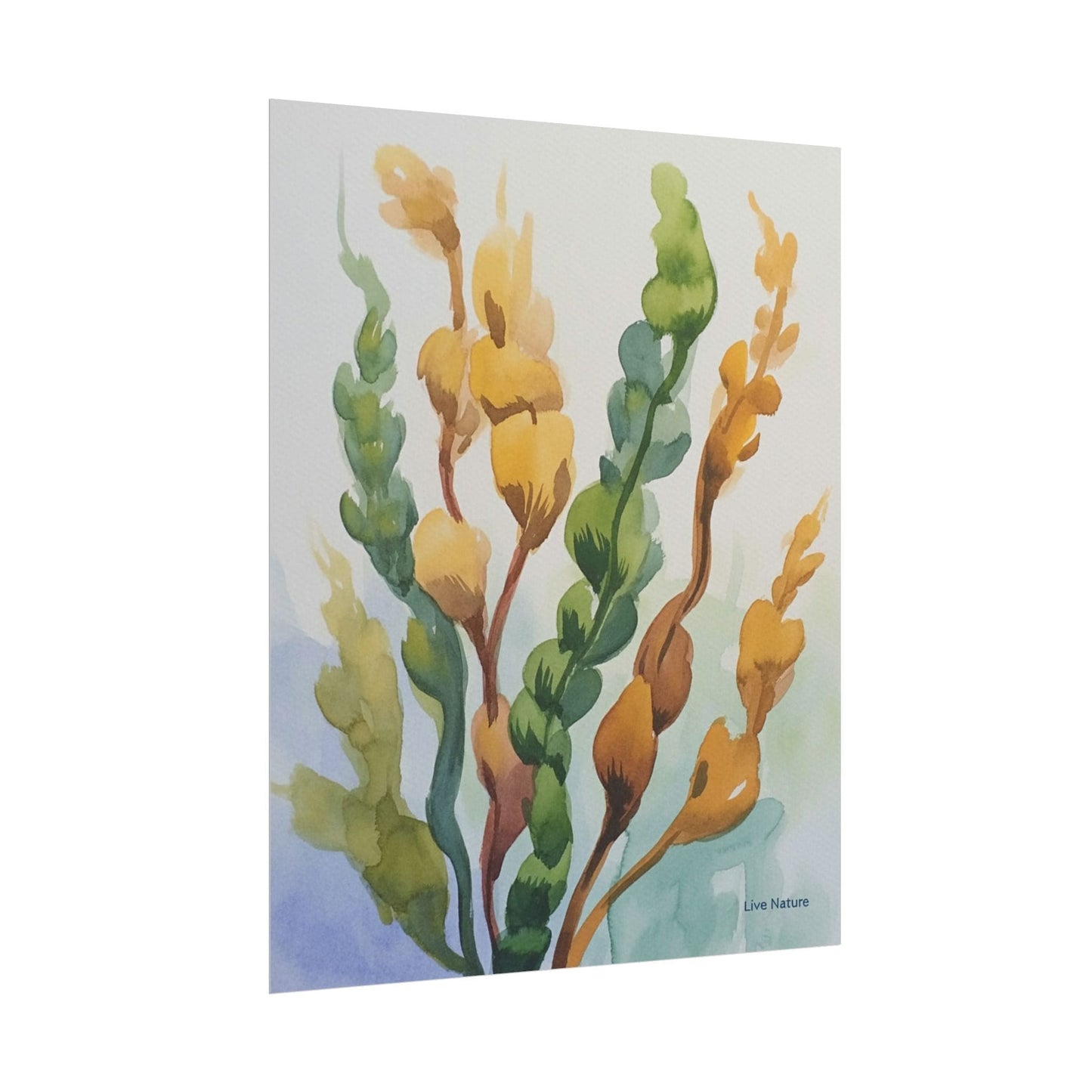Seaweed Watercolor Art Print Coastal Nature Design