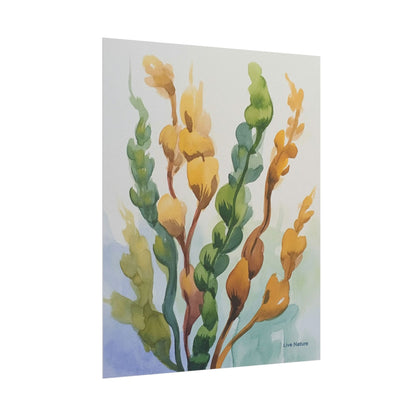 Seaweed Watercolor Art Print Coastal Nature Design