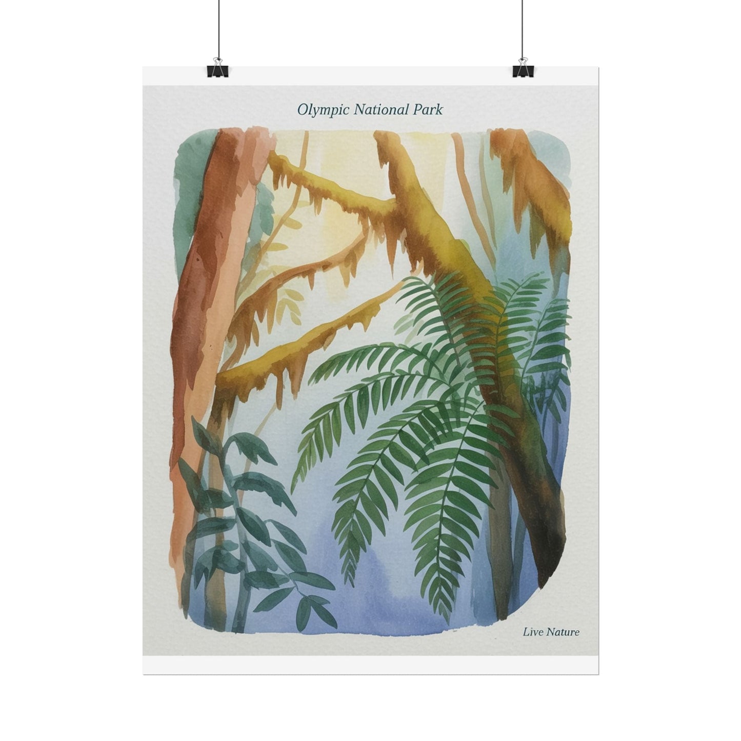 Olympic National Park Watercolor Forest Poster