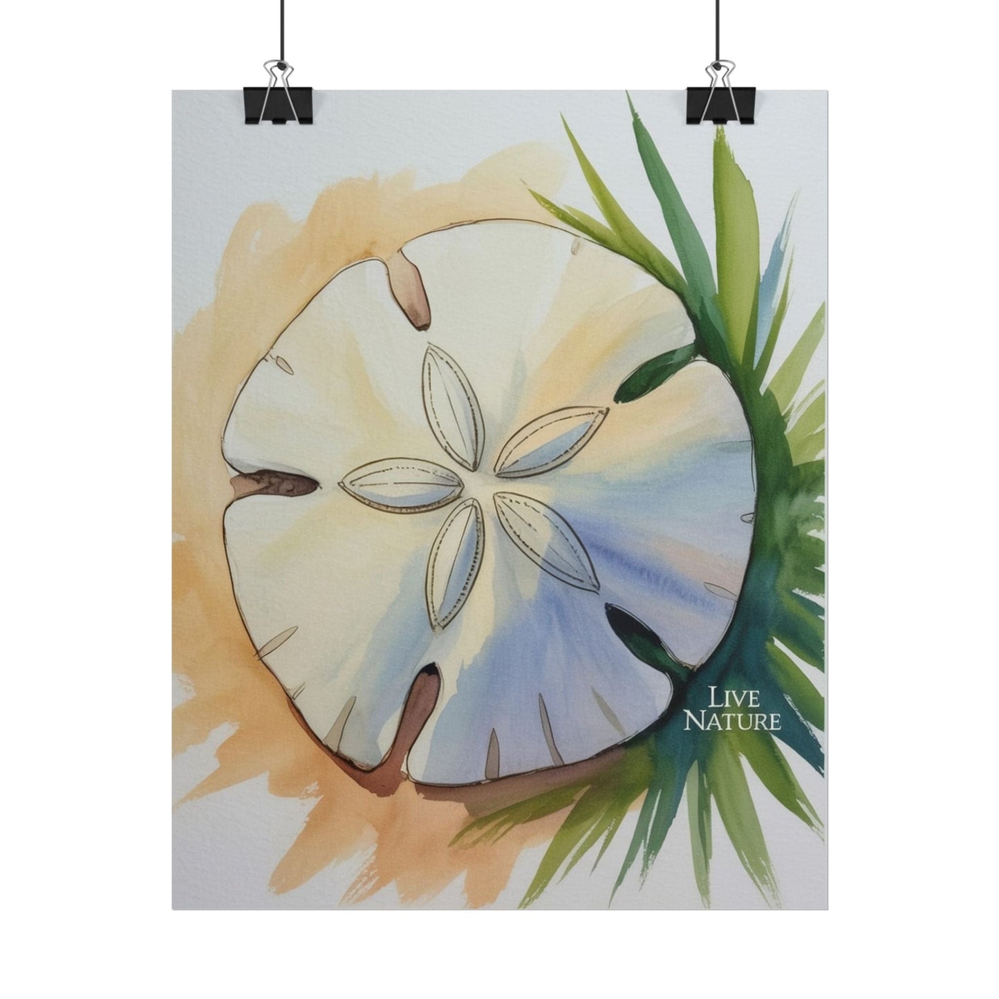 Sand Dollar Watercolor Print with 'Live Nature' Text
