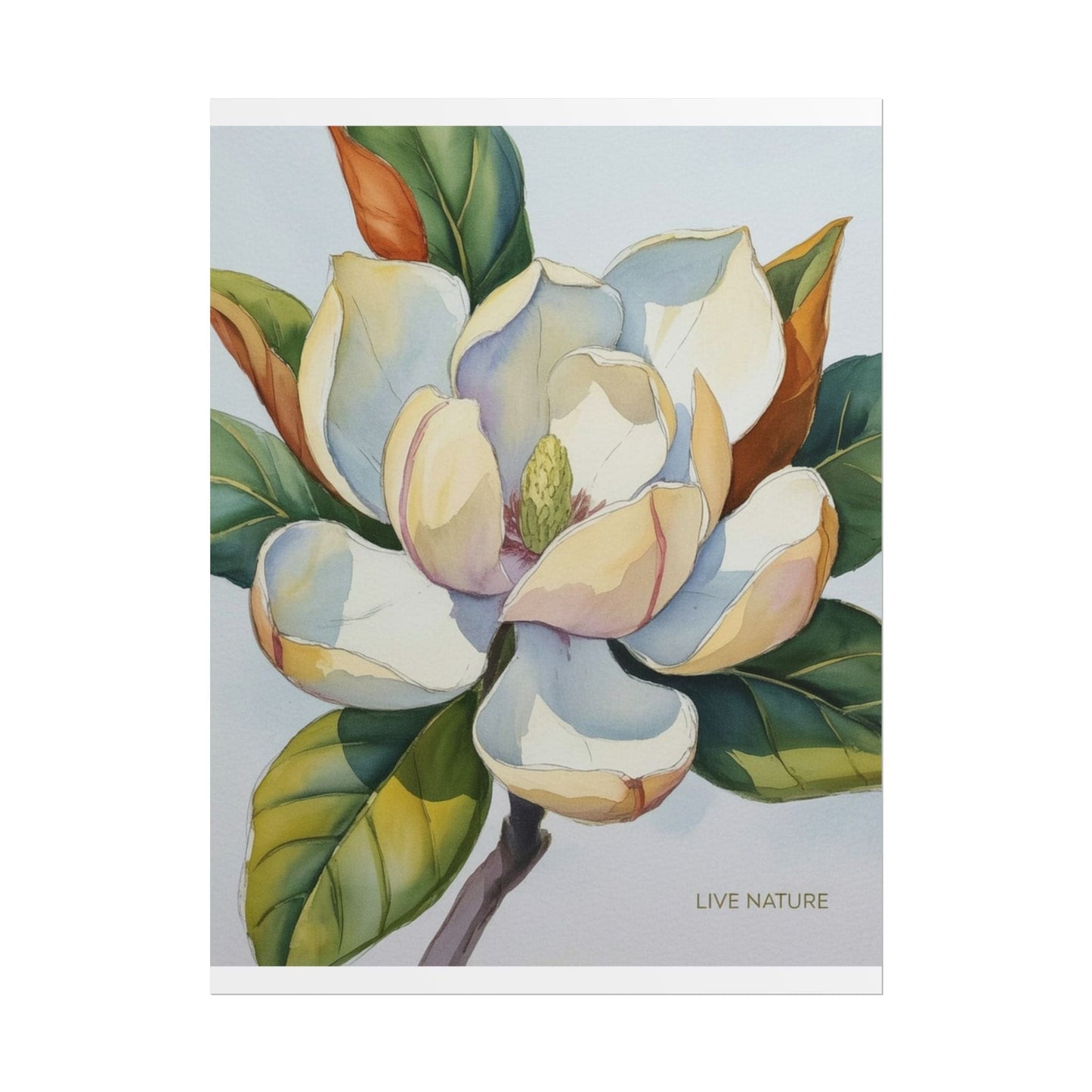 Magnolia Blossom Art Print on Fine Art Paper