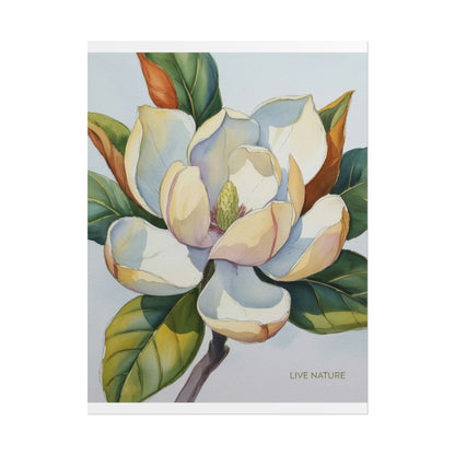 Magnolia Blossom Art Print on Fine Art Paper
