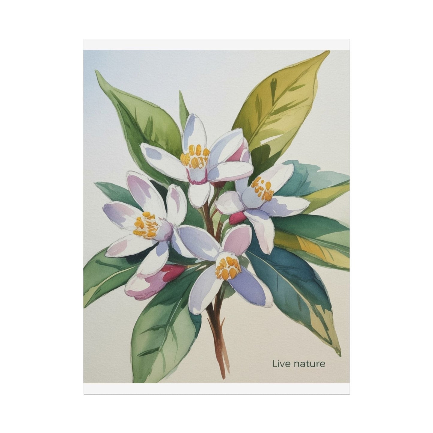Orange Blossom Floral Watercolor Print 'Live Nature