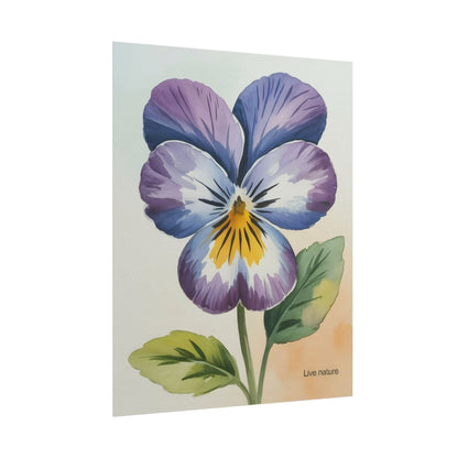 Purple Pansy Watercolor Poster Art Print - Live Nature