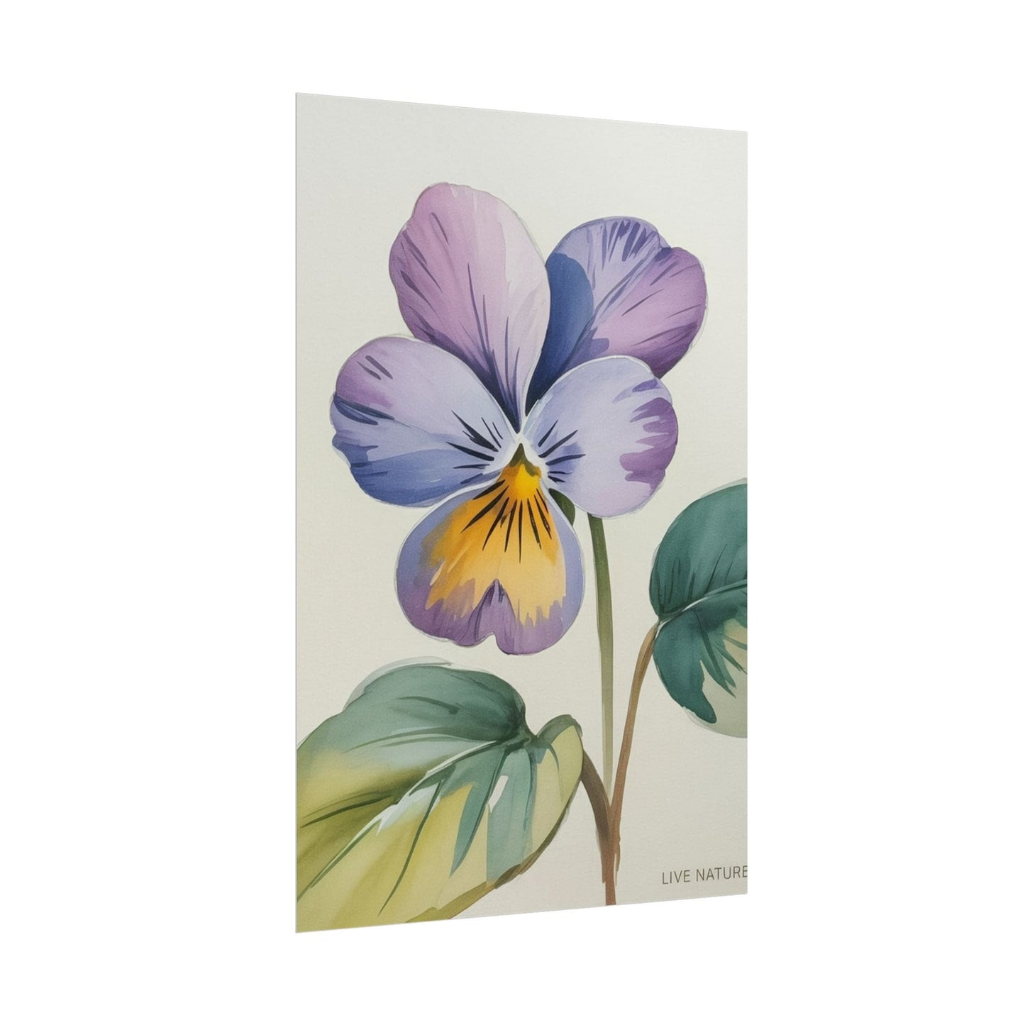 Wisconsin Wood Violet Watercolor Print – State Flower Art
