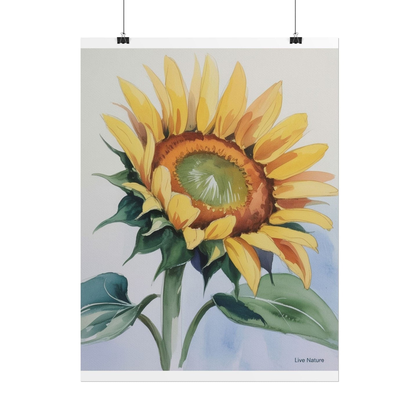 Kansas Sunflower Watercolor Art Print 'Live Nature