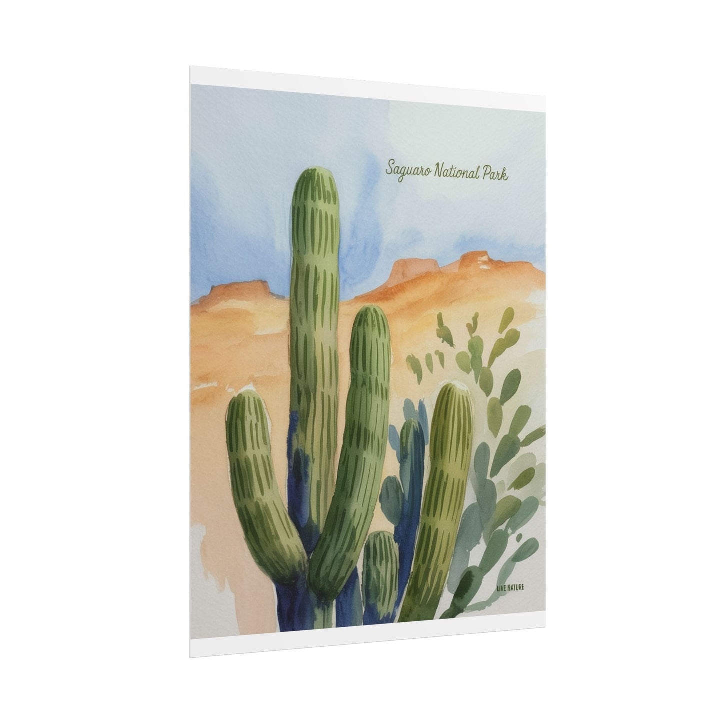 Saguaro National Park Watercolor Cactus Art Print