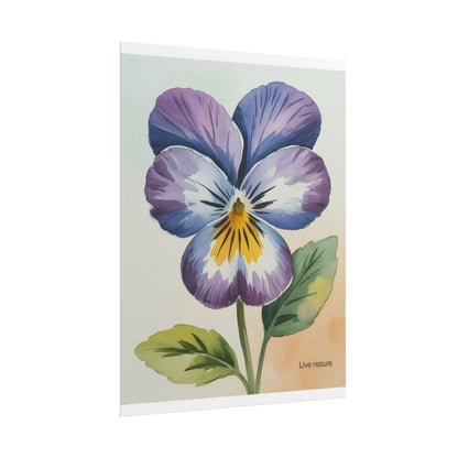 Purple Pansy Watercolor Poster Art Print - Live Nature