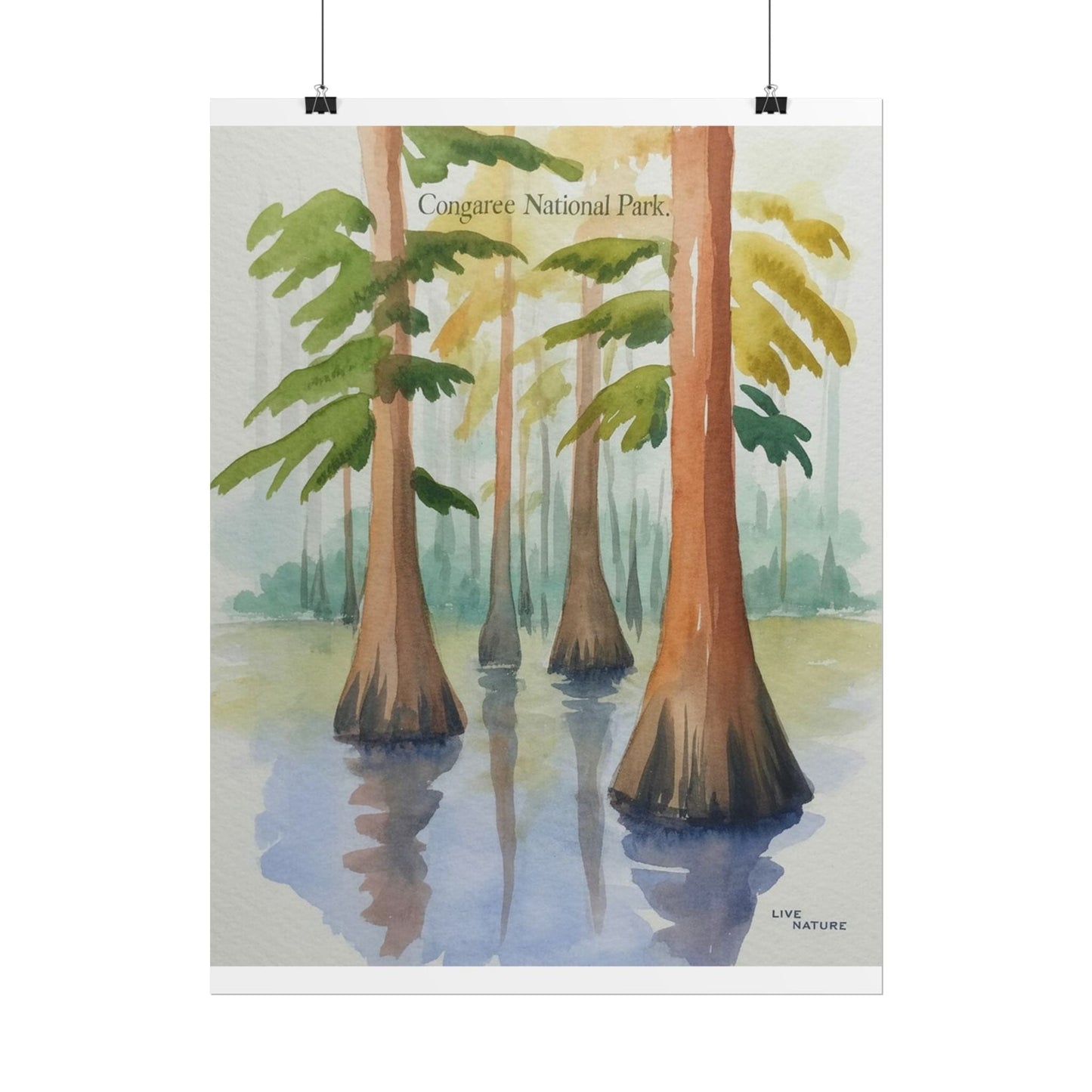 Congaree National Park Cypress Watercolor Poster