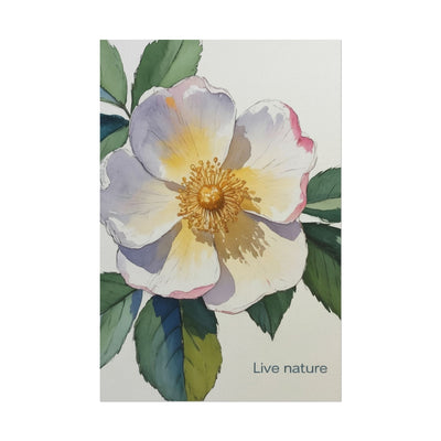 Cherokee Rose Watercolor Art Print 'Live Nature
