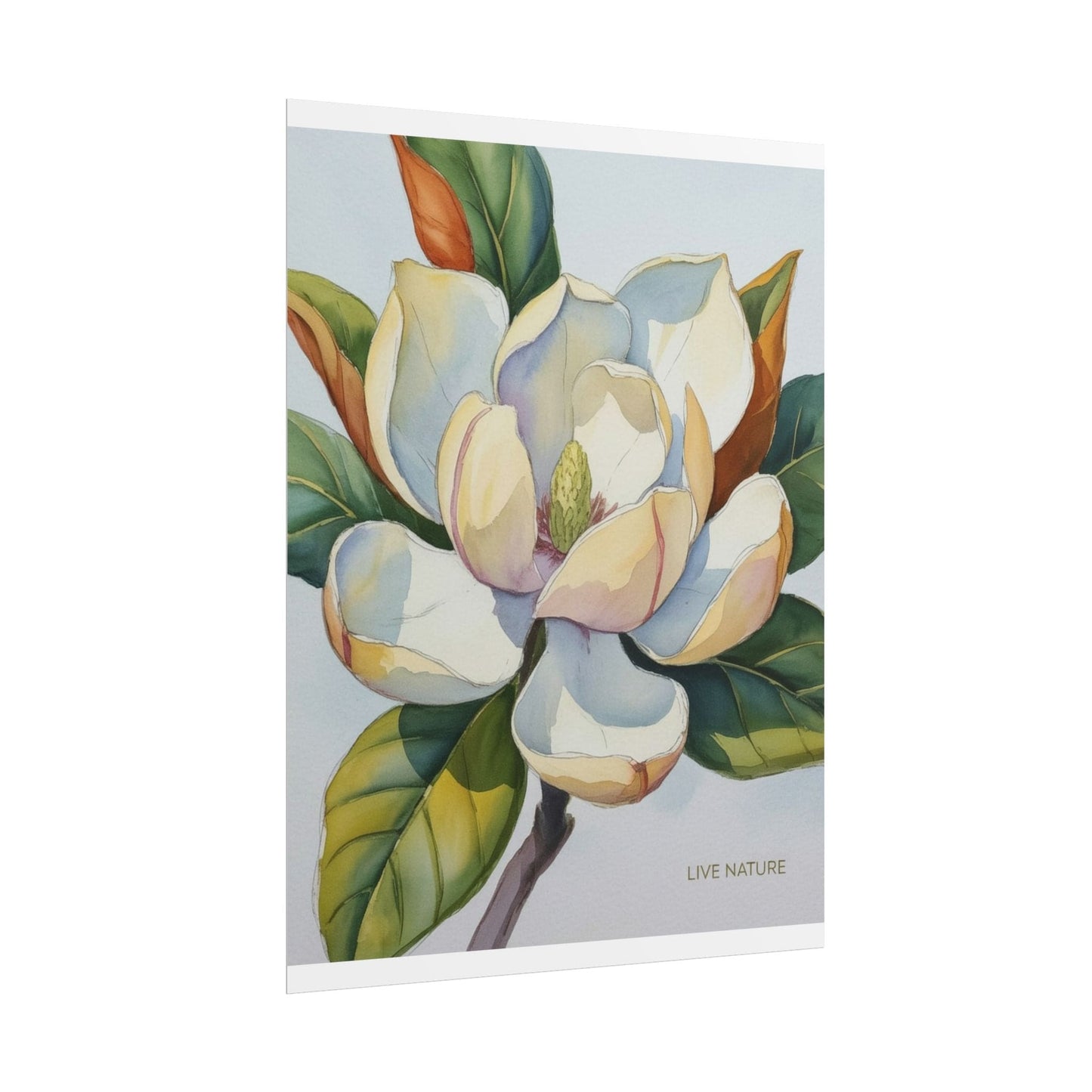 Magnolia Blossom Art Print on Fine Art Paper