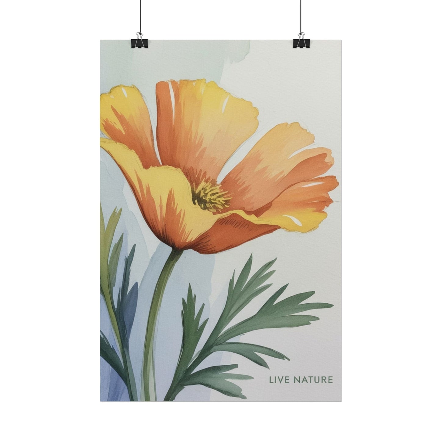 California Poppy Watercolor Art Print 'Live Nature