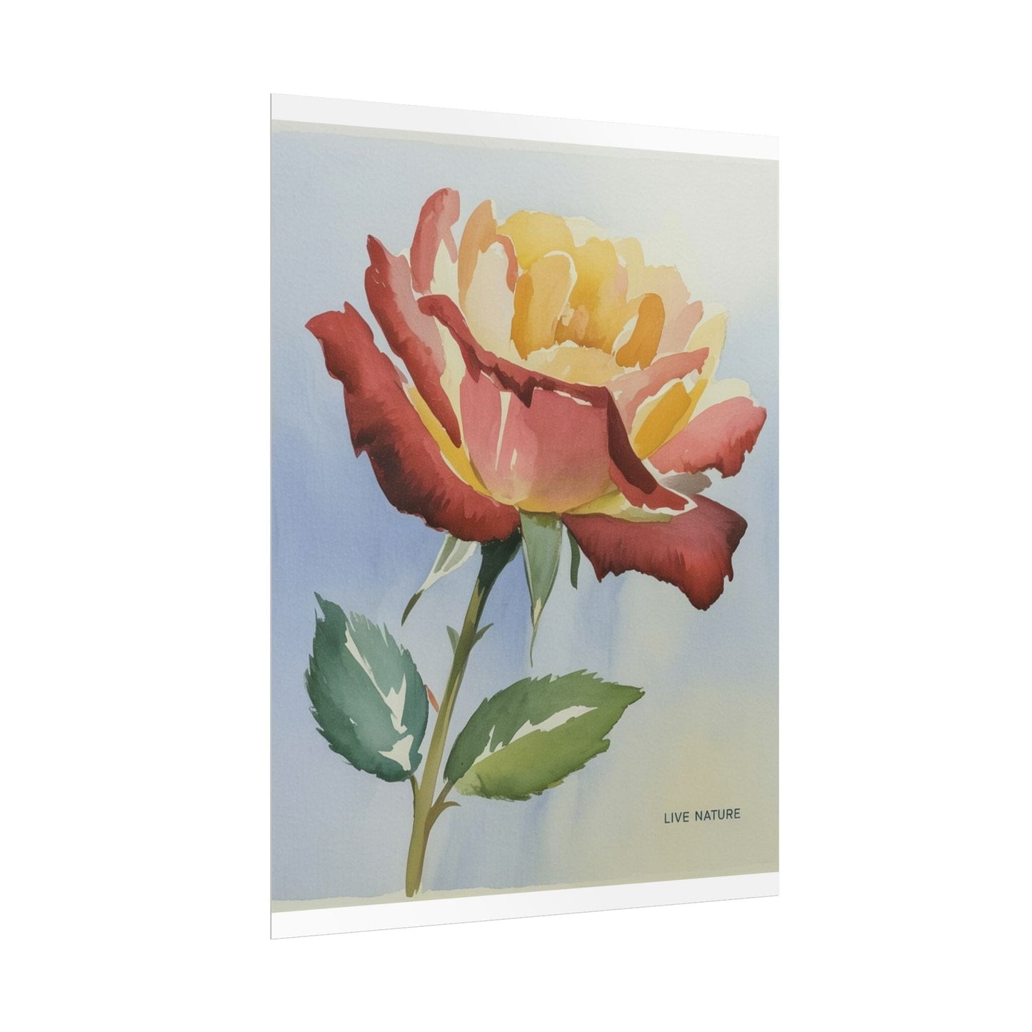 New York State Rose Watercolor Art Print