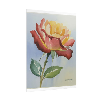 New York State Rose Watercolor Art Print