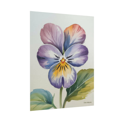 Violet Pansy Watercolor Art Print - Live Nature Design